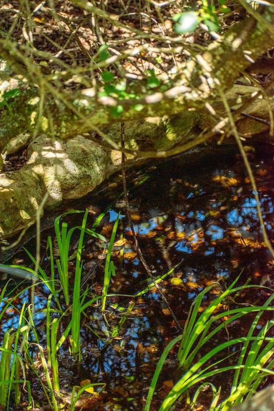 0 Bedroom Property for Sale in Moquini Western Cape